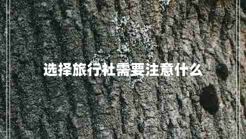 選擇旅行社需要注意什么