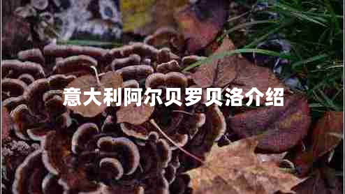 意大利阿爾貝羅貝洛介紹 意大利阿爾貝羅貝洛介紹