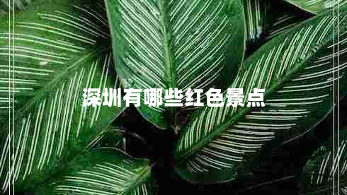 深圳有哪些紅色景點 深圳有哪些紅色景點