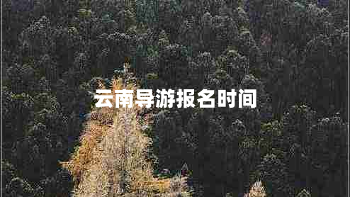 云南導(dǎo)游報名時間