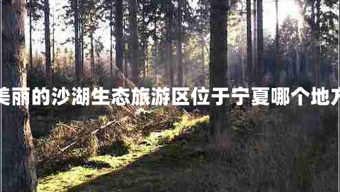 美麗的沙湖生態(tài)旅游區(qū)位于寧夏哪個(gè)地方 美麗的沙湖生態(tài)旅游區(qū)位于寧夏哪個(gè)地方