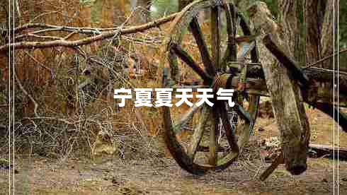 寧夏夏天天氣 寧夏夏天天氣