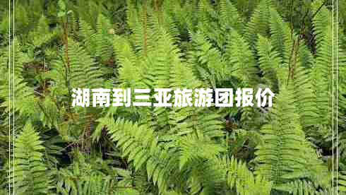 湖南到三亞旅游團(tuán)報(bào)價(jià) 湖南到三亞旅游團(tuán)報(bào)價(jià)