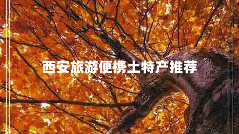 西安旅游便攜土特產(chǎn)推薦 西安旅游便攜土特產(chǎn)推薦