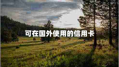 可在國(guó)外使用的信用卡