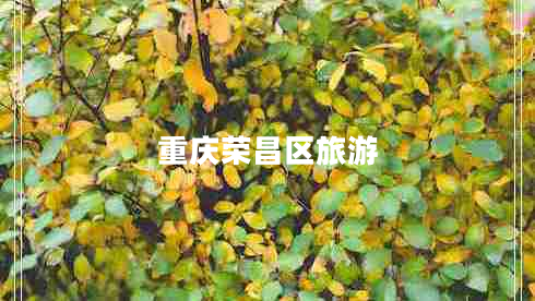 重慶榮昌區(qū)旅游 重慶榮昌區(qū)旅游