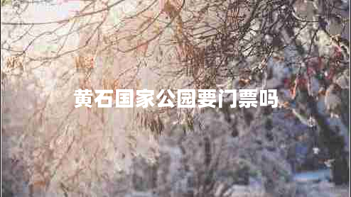黃石國(guó)家公園要門(mén)票嗎