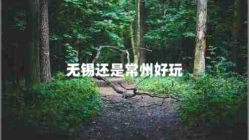 無(wú)錫還是常州好玩