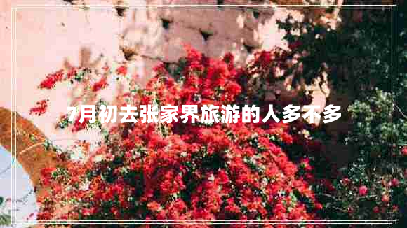 7月初去張家界旅游的人多不多