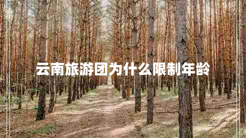 云南旅游團(tuán)為什么限制年齡