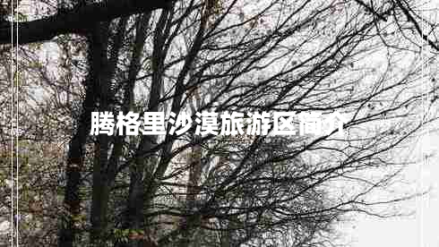 騰格里沙漠旅游區(qū)簡(jiǎn)介