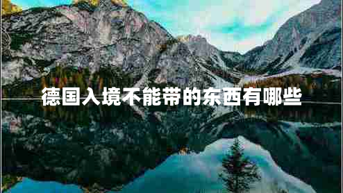 德國入境不能帶的東西有哪些 德國入境不能帶的東西有哪些