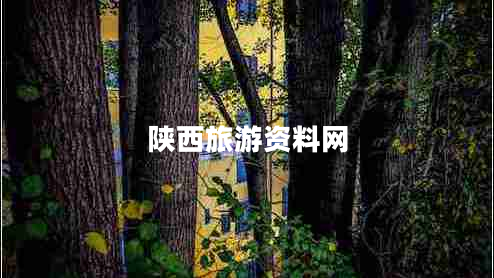 陜西旅游資料網(wǎng)