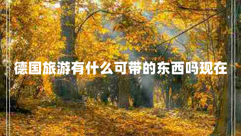 德國旅游有什么可帶的東西嗎現(xiàn)在