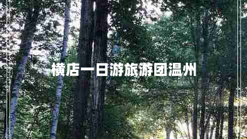 橫店一日游旅游團(tuán)溫州