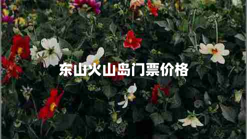 東山火山島門票價格