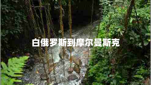 白俄羅斯到摩爾曼斯克 白俄羅斯到摩爾曼斯克