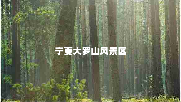 寧夏大羅山風景區(qū)