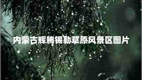 內(nèi)蒙古輝騰錫勒草原風(fēng)景區(qū)圖片