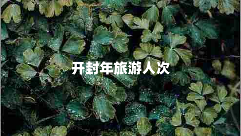 開封年旅游人次