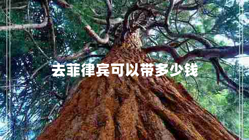 去菲律賓可以帶多少錢 去菲律賓可以帶多少錢