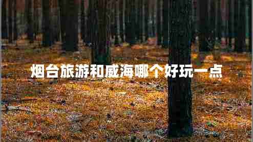 煙臺(tái)旅游和威海哪個(gè)好玩一點(diǎn)