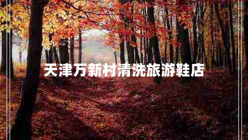 天津萬(wàn)新村清洗旅游鞋店