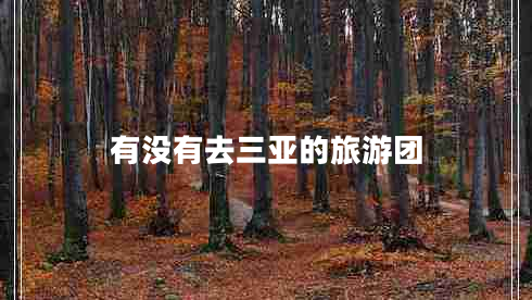 有沒有去三亞的旅游團(tuán) 有沒有去三亞的旅游團(tuán)