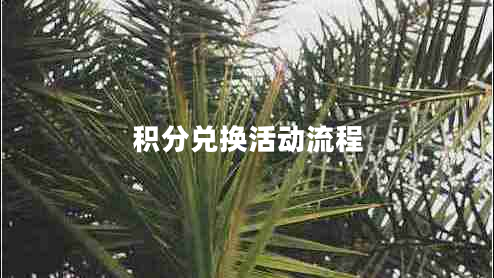 積分兌換活動(dòng)流程