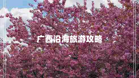 廣西沿海旅游攻略 廣西沿海旅游攻略