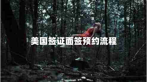 美國(guó)簽證面簽預(yù)約流程 美國(guó)簽證面簽預(yù)約流程