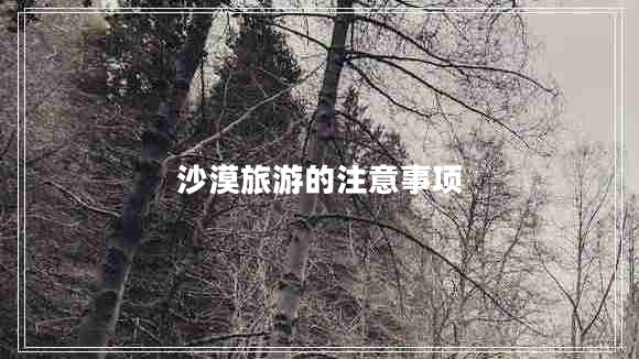 沙漠旅游的注意事項