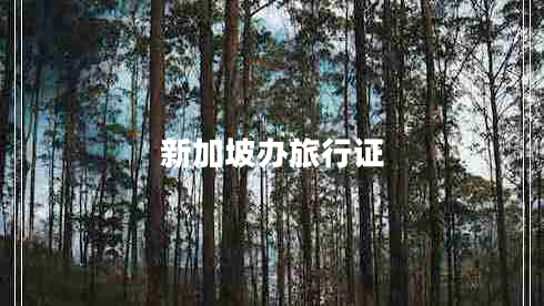 新加坡辦旅行證