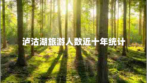瀘沽湖旅游人數(shù)近十年統(tǒng)計(jì)
