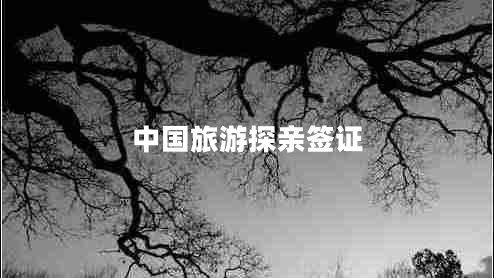 中國旅游探親簽證