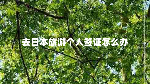 去日本旅游個人簽證怎么辦