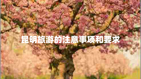 昆明旅游的注意事項(xiàng)和要求