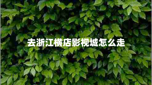 去浙江橫店影視城怎么走