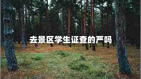 去景區(qū)學(xué)生證查的嚴(yán)嗎