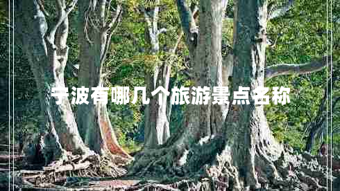 寧波有哪幾個(gè)旅游景點(diǎn)名稱 寧波有哪幾個(gè)旅游景點(diǎn)名稱