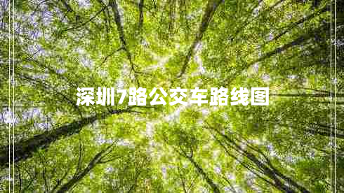 深圳7路公交車路線圖
