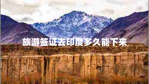 旅游簽證去印度多久能下來