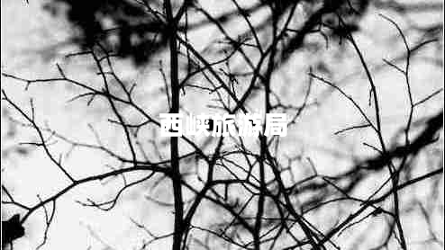 西峽旅游局