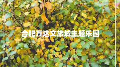 合肥萬達(dá)文旅城主題樂園 合肥萬達(dá)文旅城主題樂園