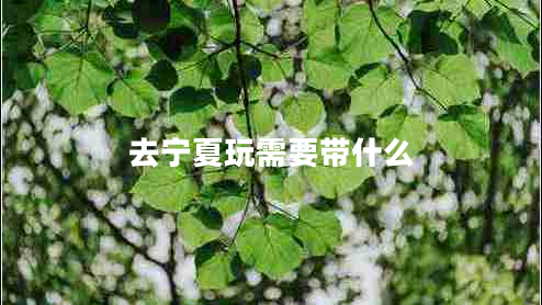 去寧夏玩需要帶什么 去寧夏玩需要帶什么