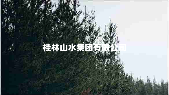 桂林山水集團有限公司