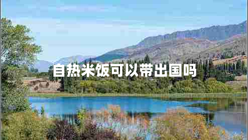 自熱米飯可以帶出國(guó)嗎