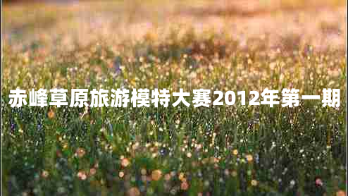 赤峰草原旅游模特大賽2012年第一期