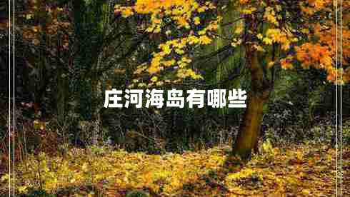 莊河海島有哪些