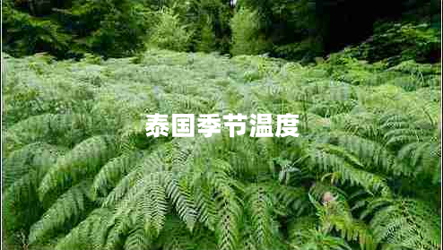 泰國季節(jié)溫度